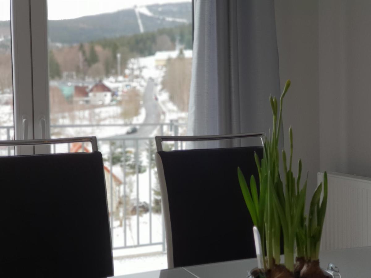 Vera Apartment Swieradow-Zdroj Zakopianska 22 C M10 Bagian luar foto